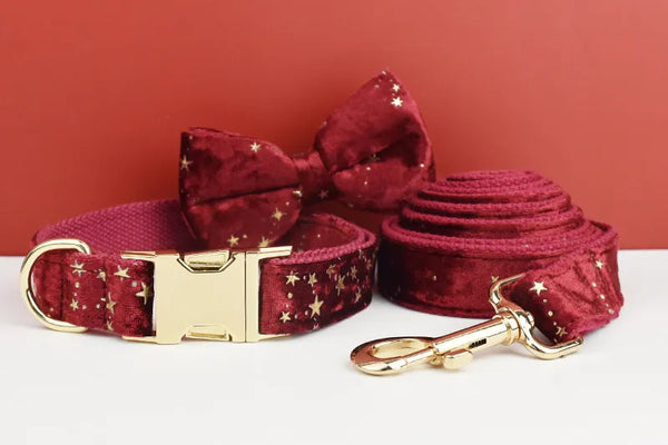Personalizzabile - set pettorina per cani stelline dorate rosso