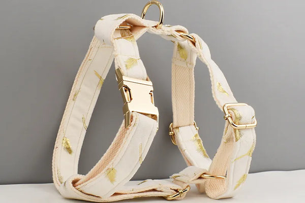 Personalizzabile - set pettorina per cani piume oro avorio