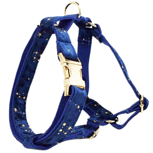 Personalizzabile - set pettorina per cani stelline dorate blu