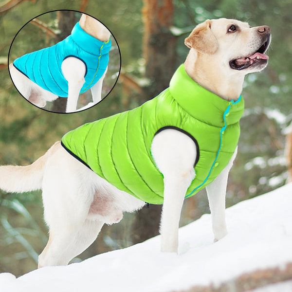 Smanicato per cani imbottito impermeabile double face colors