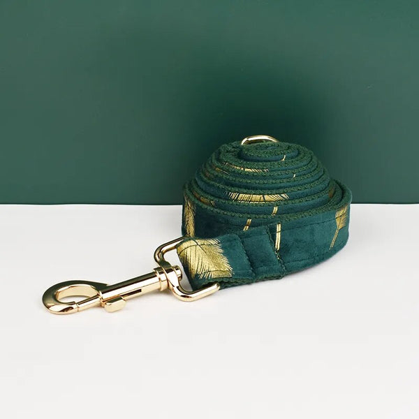 Personalizzabile - set pettorina per cani piume oro verde