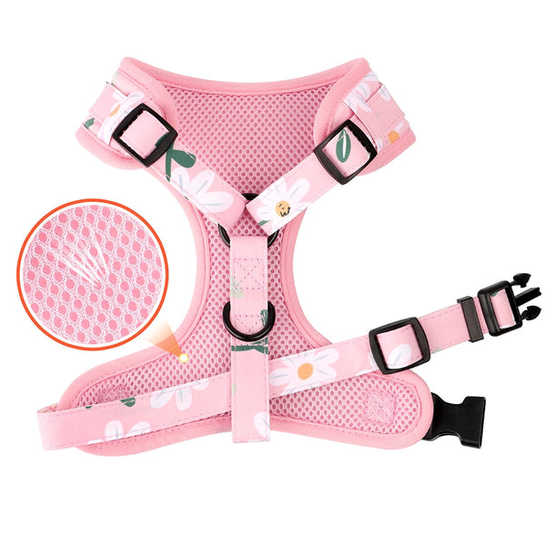 SET PETTORINA PER CANI CON GUINZAGLIO DAISY