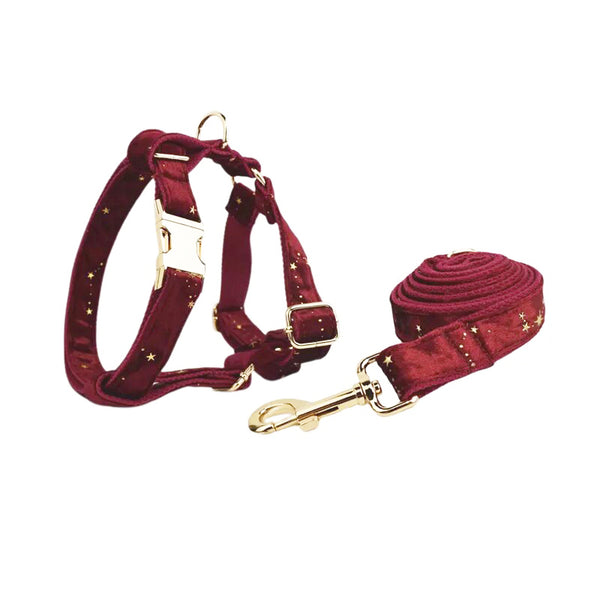 Personalizzabile - set pettorina per cani stelline dorate rosso