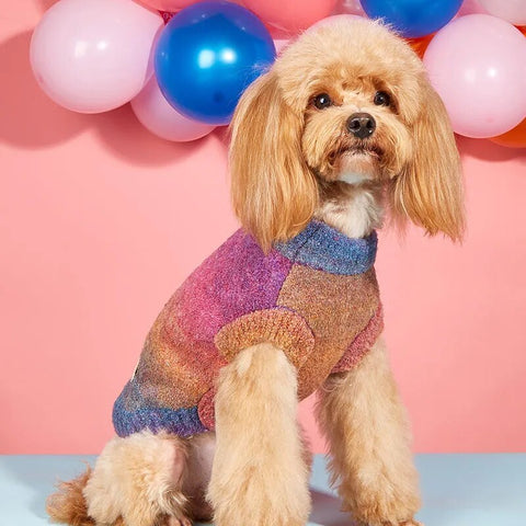 Vestito per cani in morbida maglia multicolor