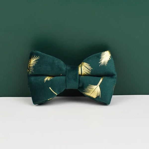 Personalizzabile - set pettorina per cani piume oro verde