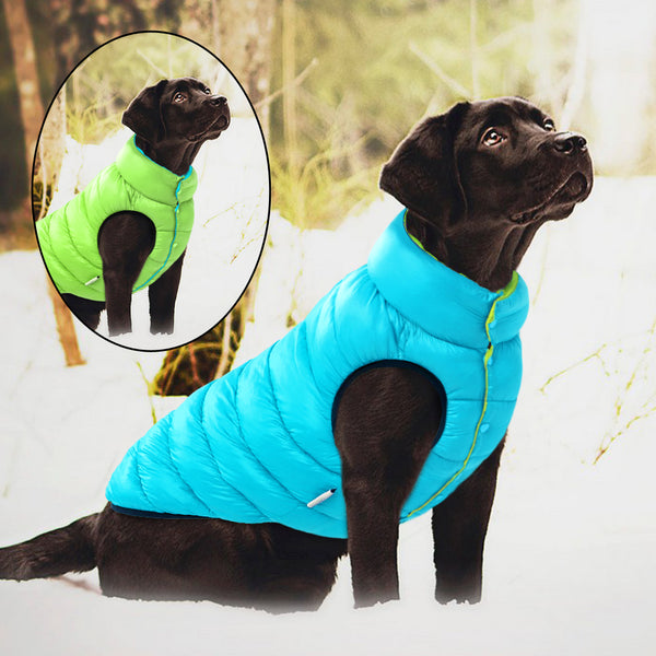 Smanicato per cani imbottito impermeabile double face colors