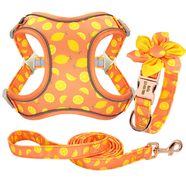 PERSONALIZZABILE - SET PETTORINA PER CANI CON BORDO CATARIFRANGENTE, COLLARE E GUINZAGLIO SUMMER