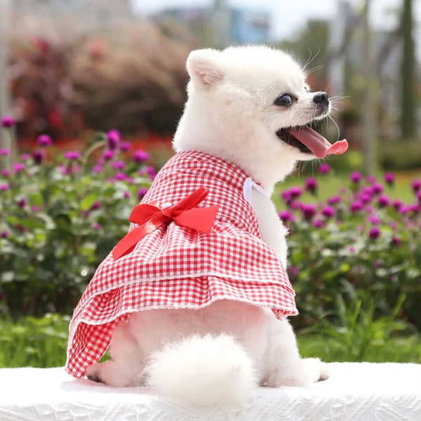 Vestito per cani elegante con maxi fiocco