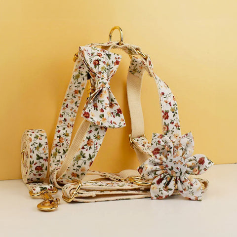 Personalizzabile - set pettorina per cani fiori avorio