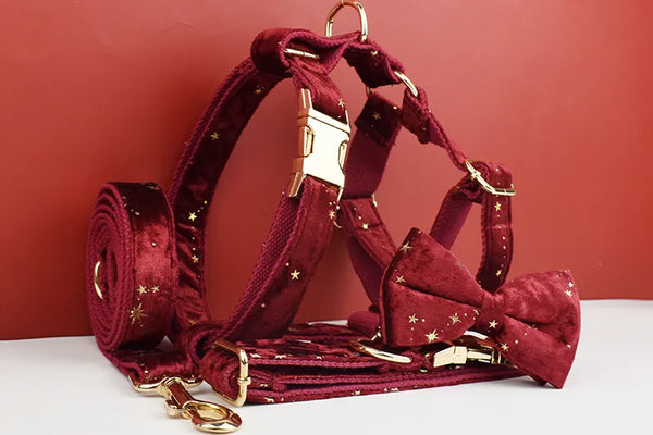 Personalizzabile - set pettorina per cani stelline dorate rosso