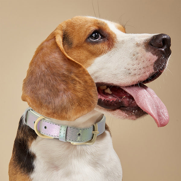 PERSONALIZZABILE - COLLARE PER CANI IN PELLE PU SIRENA CANGIANTE