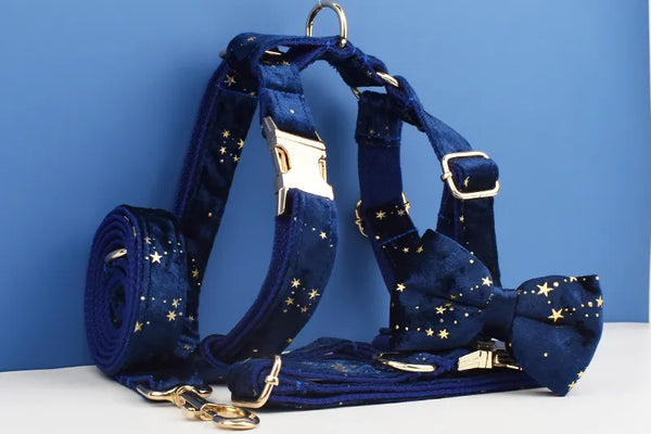 Personalizzabile - set pettorina per cani stelline dorate blu