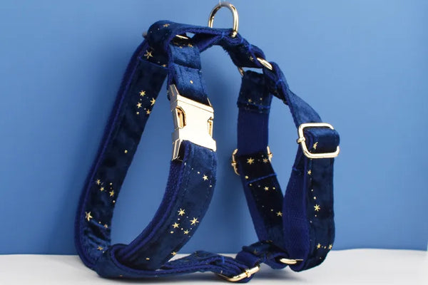 Personalizzabile - set pettorina per cani stelline dorate blu