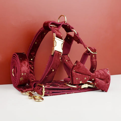 Personalizzabile - set pettorina per cani stelline dorate rosso