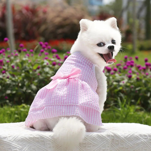 Vestito per cani elegante con maxi fiocco
