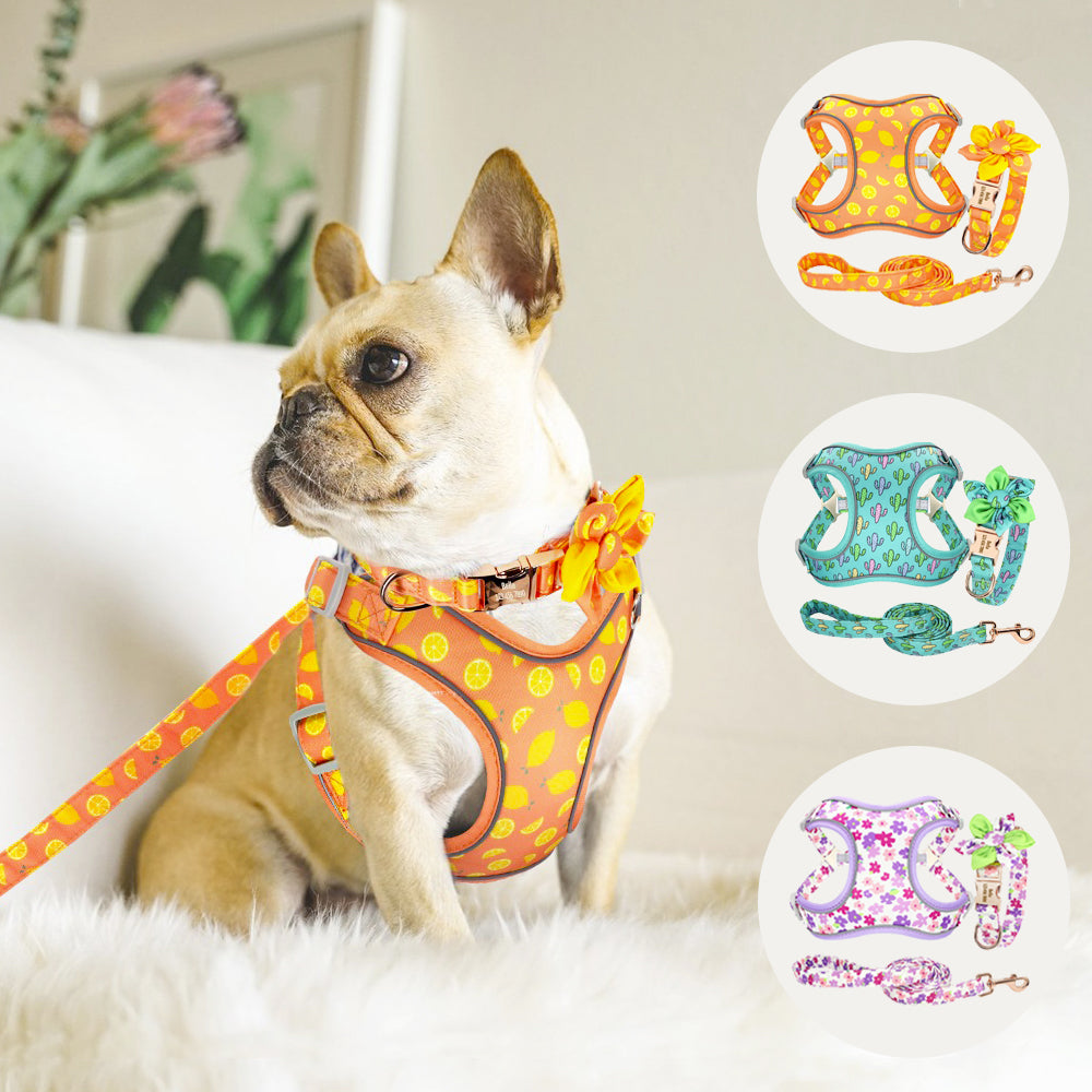 PERSONALIZZABILE - SET PETTORINA PER CANI CON BORDO CATARIFRANGENTE, COLLARE E GUINZAGLIO SUMMER