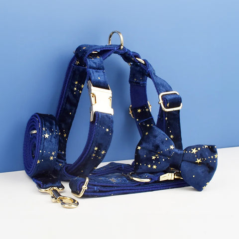 Personalizzabile - set pettorina per cani stelline dorate blu