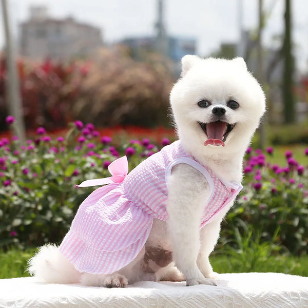 Vestito per cani elegante con maxi fiocco