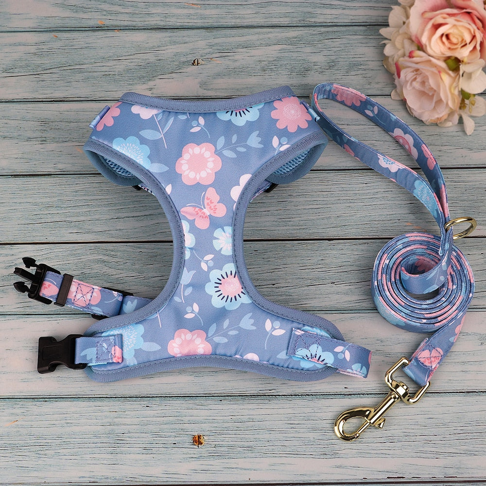 SET PETTORINA PER CANI CON GUINZAGLIO DAISY