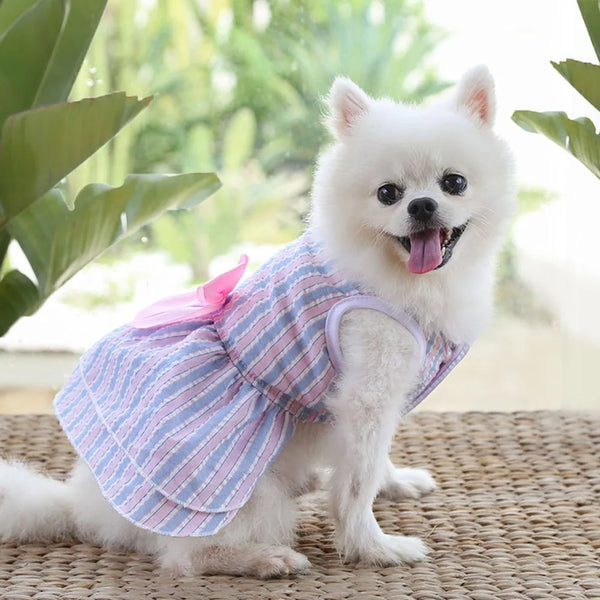 Vestito per cani elegante con maxi fiocco