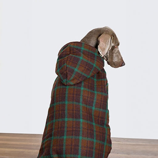 Cappotto montgomery elegante per cani