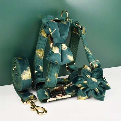 Personalizzabile - set pettorina per cani piume oro verde