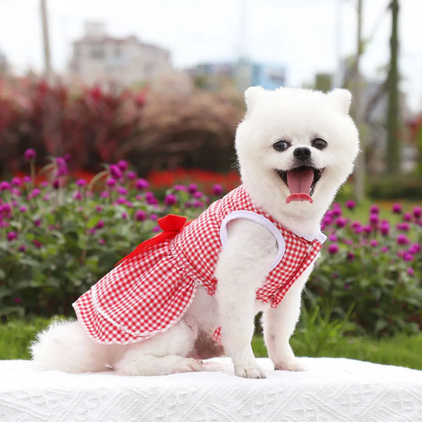 Vestito per cani elegante con maxi fiocco