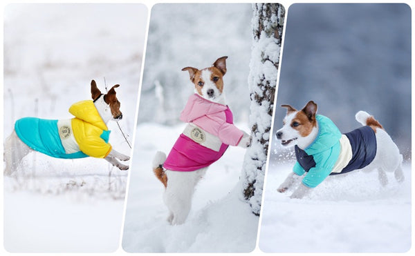 GIUBBOTTO IMBOTTITO IMPERMEABILE PER CANI BICOLOR