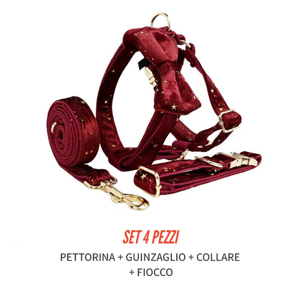 Personalizzabile - set pettorina per cani stelline dorate rosso