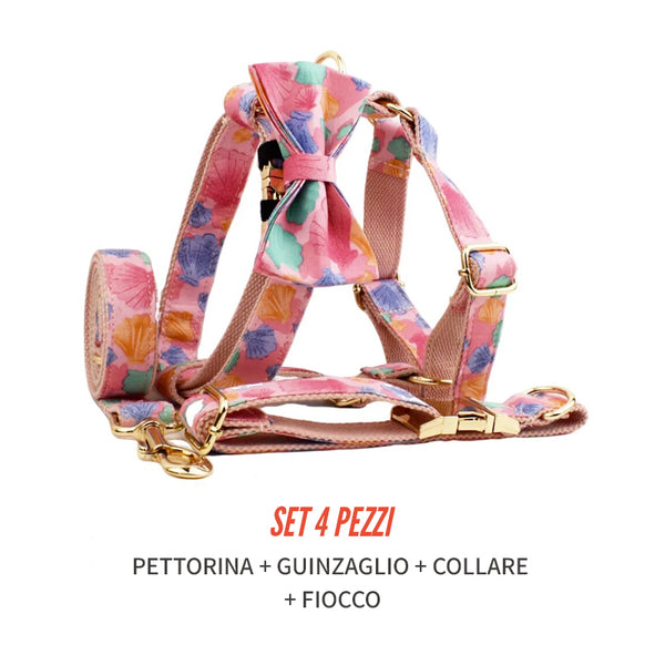 Personalizzabile - set pettorina per cani conchiglie