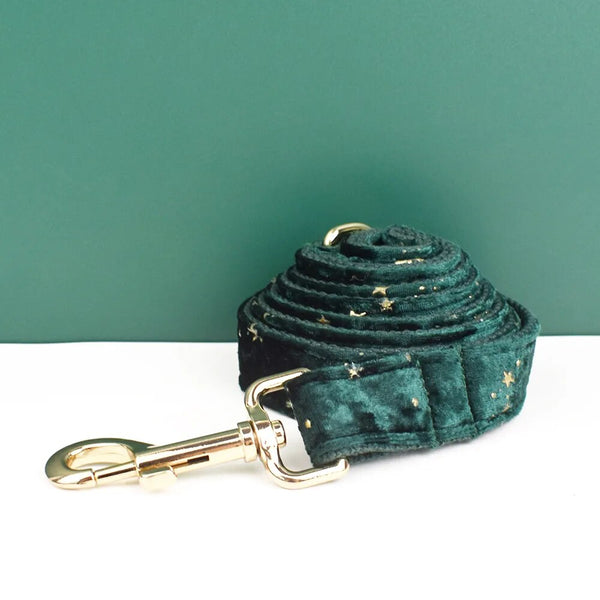 Personalizzabile - set pettorina per cani stelline dorate verde