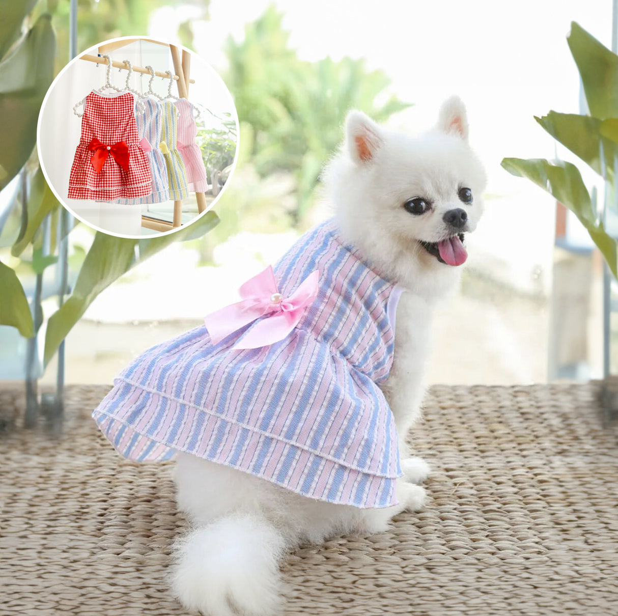Vestito per cani elegante con maxi fiocco