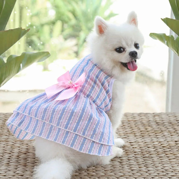 Vestito per cani elegante con maxi fiocco
