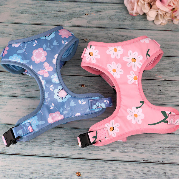 SET PETTORINA PER CANI CON GUINZAGLIO DAISY