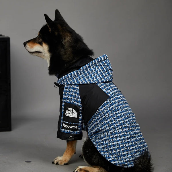 Impermeabile per cani anti pioggia con cappuccio pattern