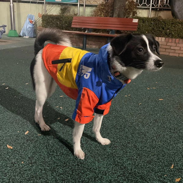 Impermeabile felpato anti pioggia per cani Bonapet