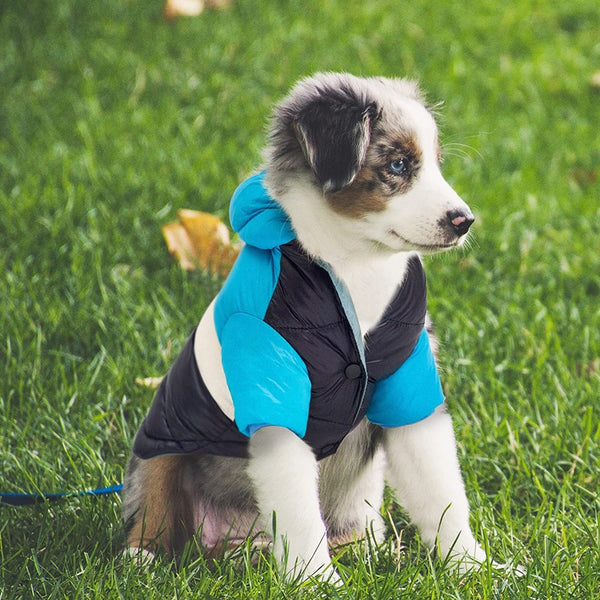 GIUBBOTTO IMBOTTITO IMPERMEABILE PER CANI BICOLOR