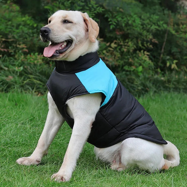 GIUBBOTTO PER CANI SMANICATO BICOLOR - new