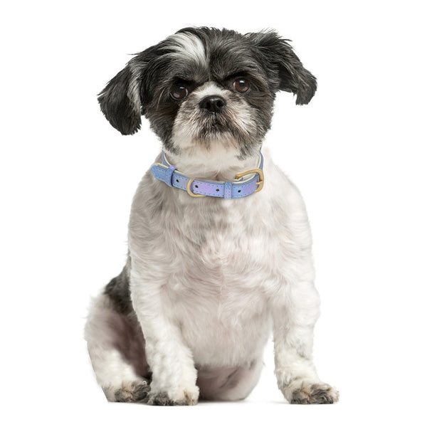 PERSONALIZZABILE - COLLARE PER CANI IN PELLE PU SIRENA CANGIANTE