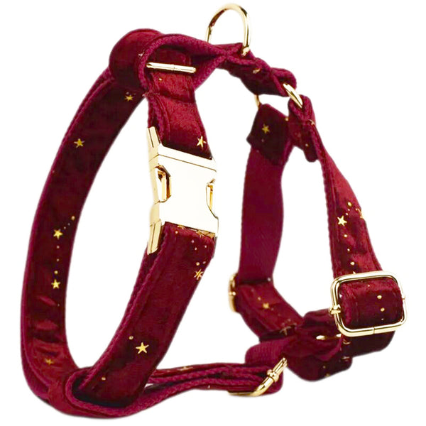 Personalizzabile - set pettorina per cani stelline dorate rosso