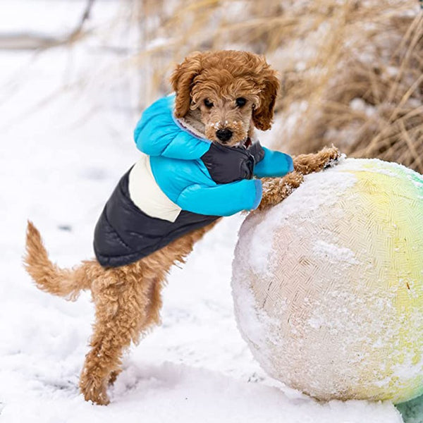 GIUBBOTTO IMBOTTITO IMPERMEABILE PER CANI BICOLOR