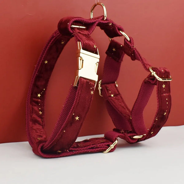 Personalizzabile - set pettorina per cani stelline dorate rosso