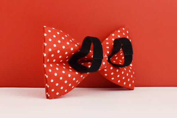Personalizzabile - set pettorina per cani pois rosso