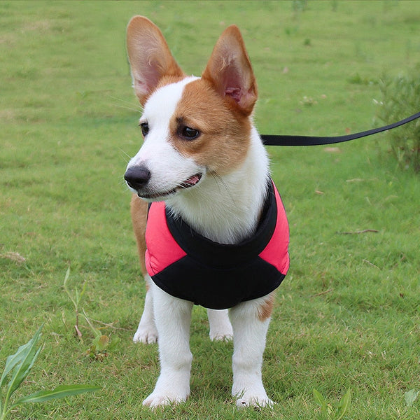 GIUBBOTTO PER CANI SMANICATO BICOLOR