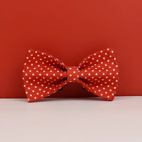 Personalizzabile - set pettorina per cani pois rosso