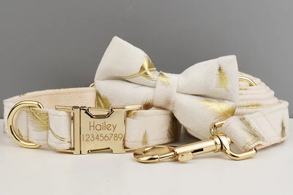 Personalizzabile - set pettorina per cani piume oro avorio
