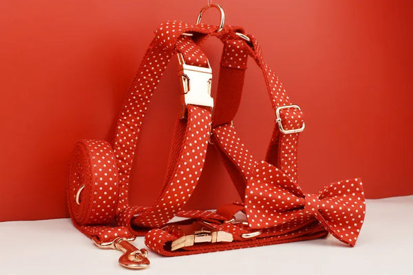 Personalizzabile - set pettorina per cani pois rosso