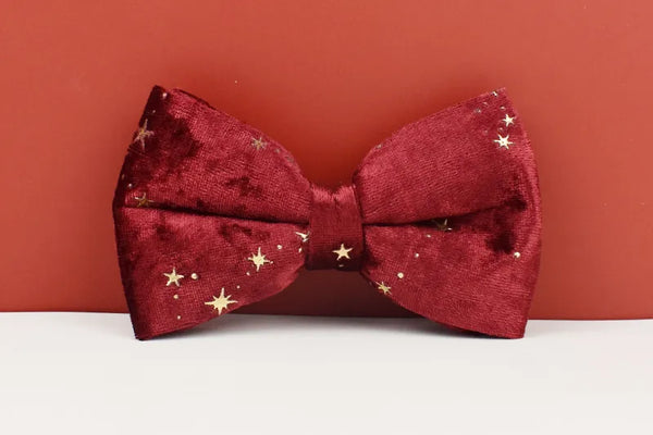 Personalizzabile - set pettorina per cani stelline dorate rosso