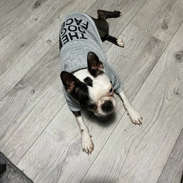 FELPA PER CANI COLOR