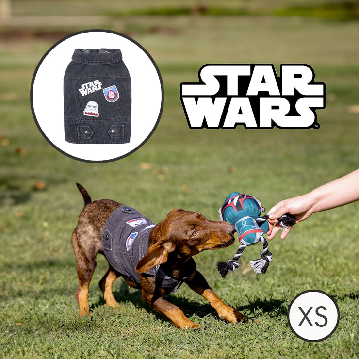Giacca per cani Star Wars Jeans Grigio XS